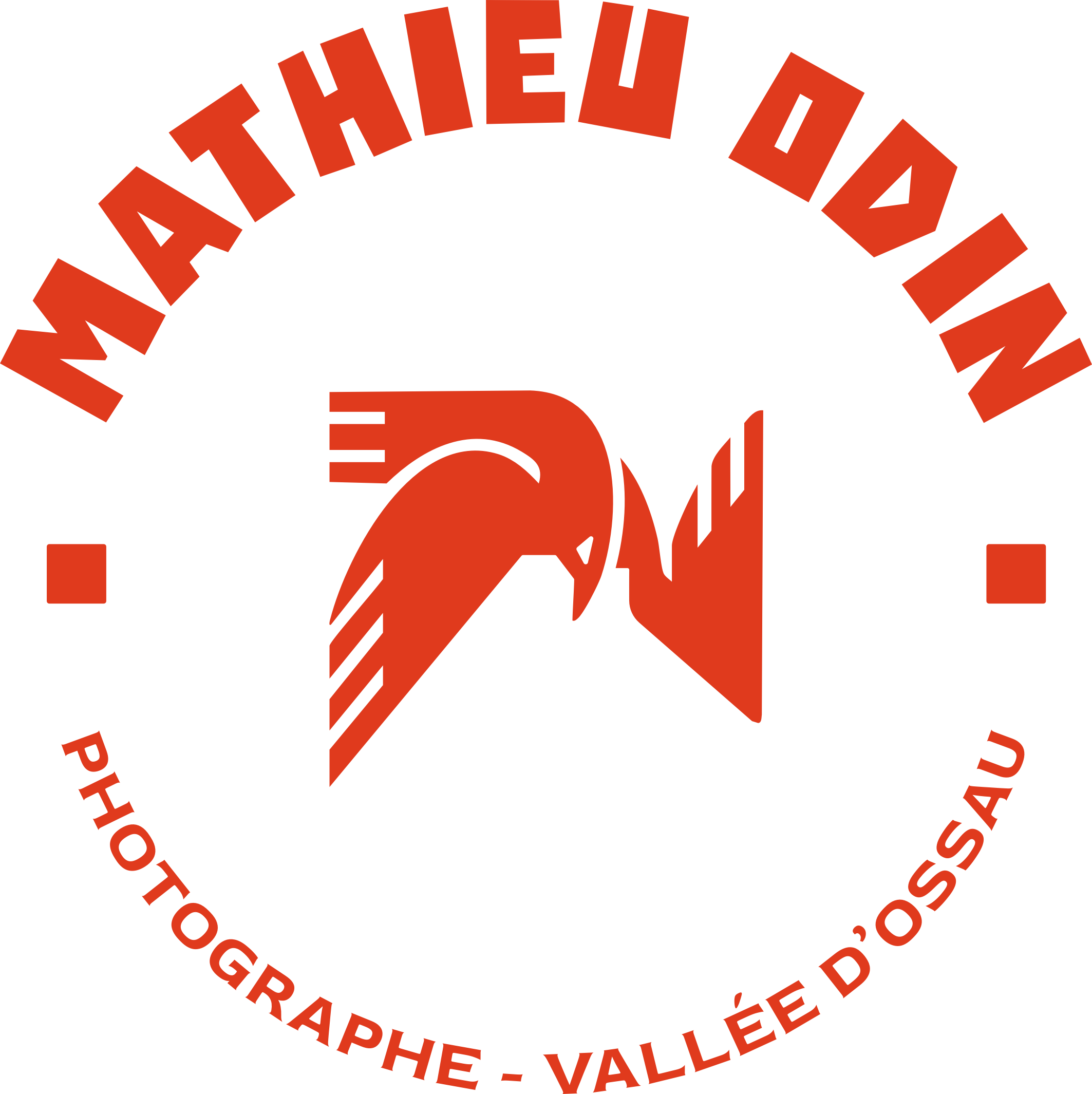 Logo Mathieu Odin photographe