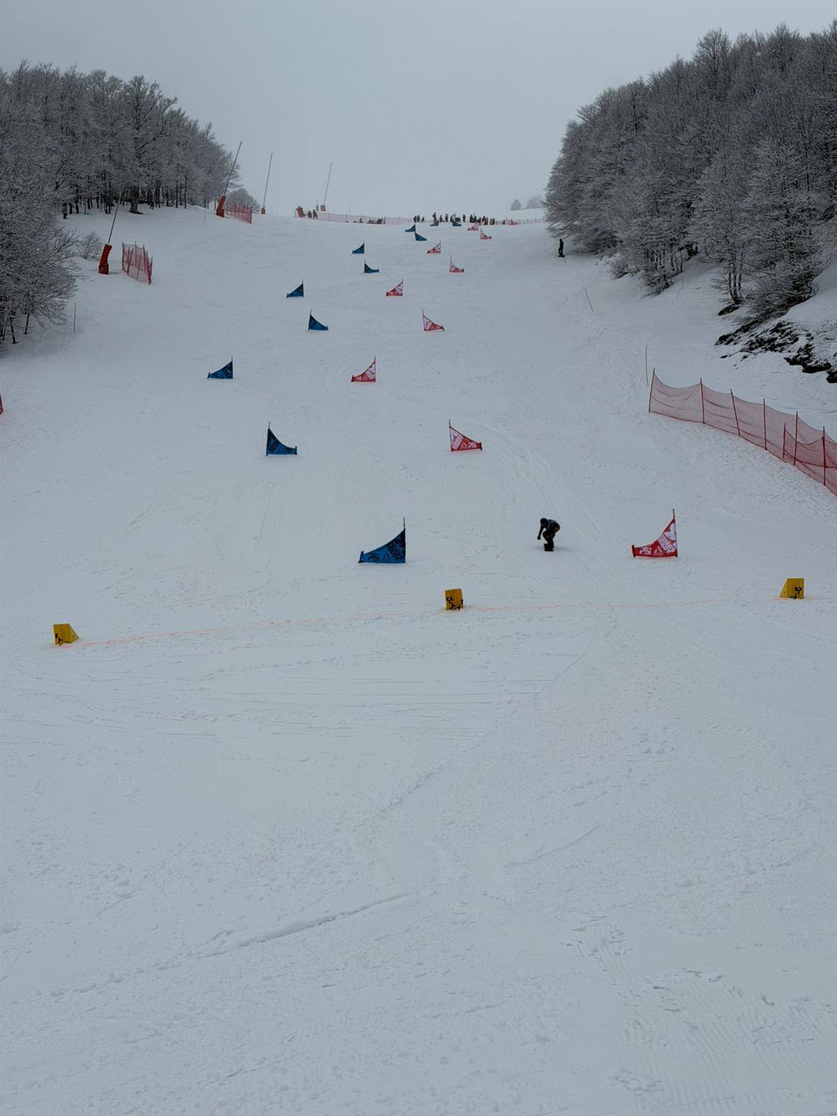 Photo de l'association Folie Verticale